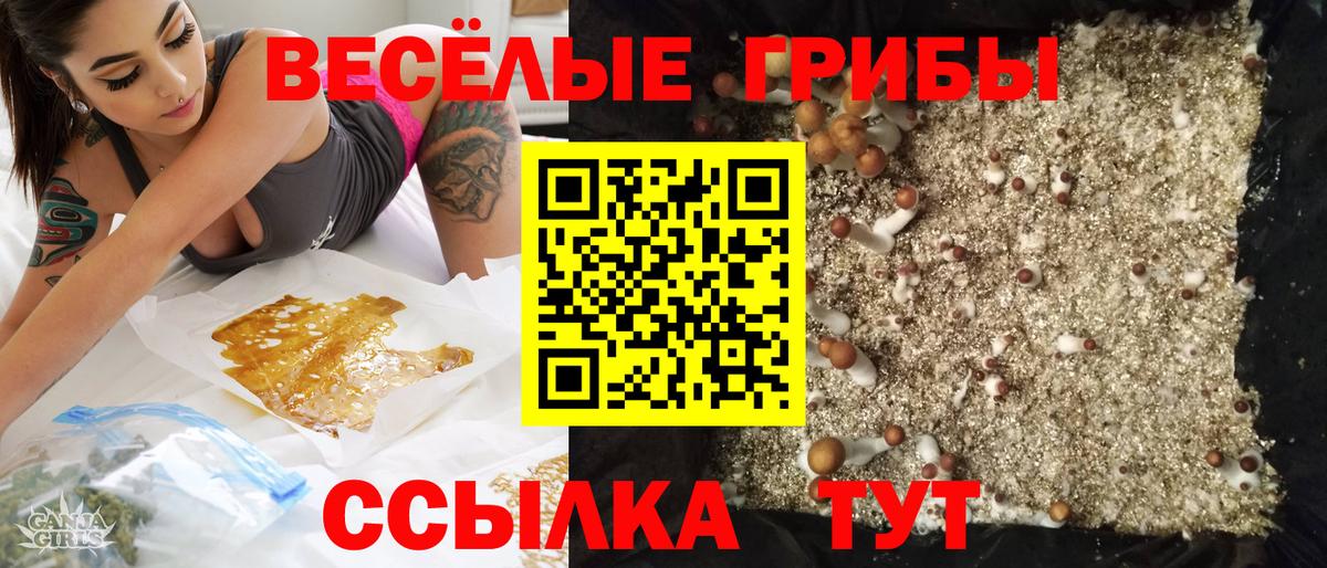 Выкса  Галлюциногенные грибы Magic Shrooms  Вход с VPN 