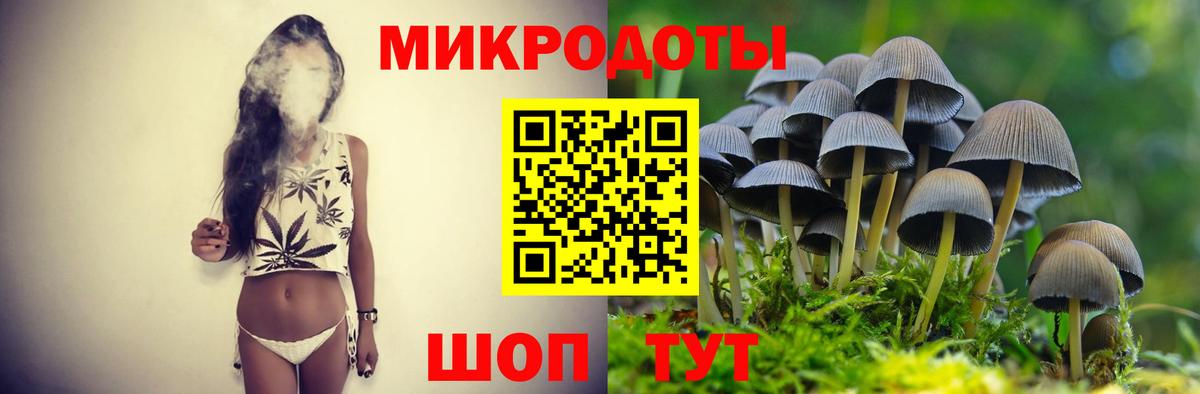 Псилоцибиновые грибы Psilocybine cubensis Выкса
